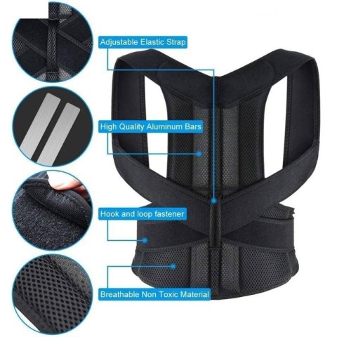 Back Support Belt