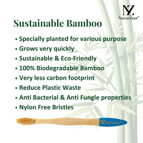 Bamboo Toothbrush