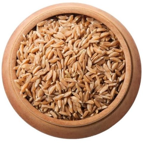 Khapli Wheat
