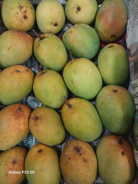 Devrai Mango Farms